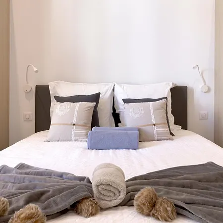 L'elegance Rue D'antibes - Palais & Plages - 200 M Croisette - Parking Prive - Clim - Wifi Cannes